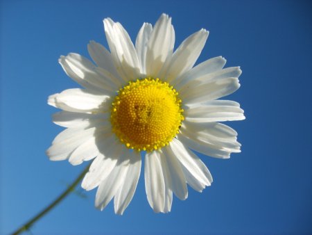 img010.jpeg.medium.jpeg